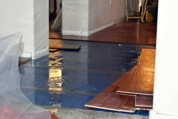 Professional Basement Flooding technician working in Athens, PA